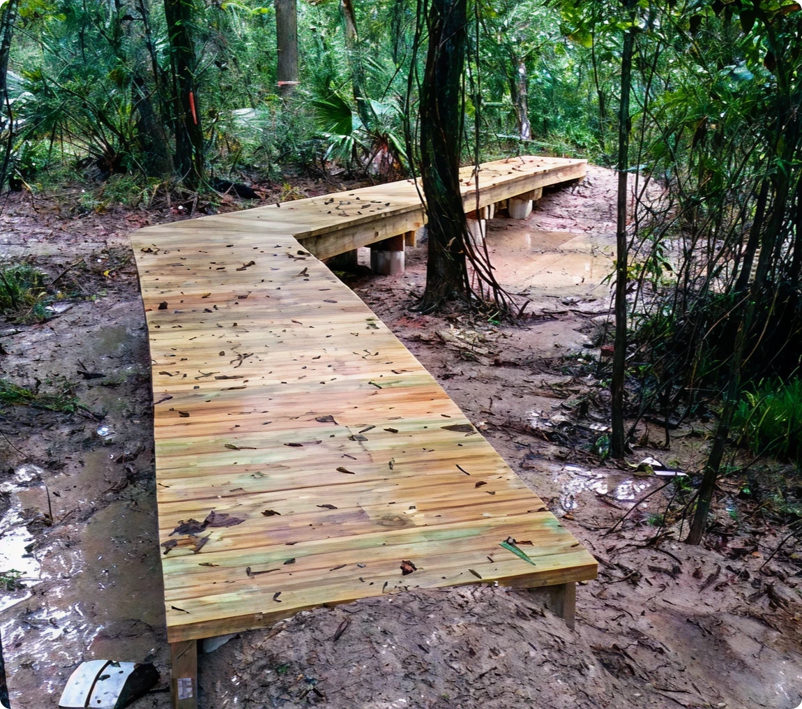 Elevated path in wooded area