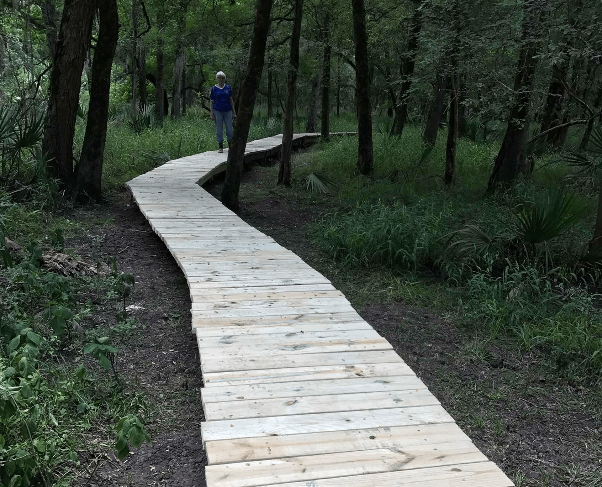 Serene trail surrounded by greenery