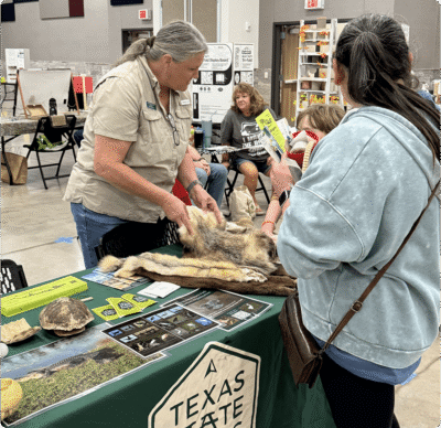 Woman showing animal pelts to visitors