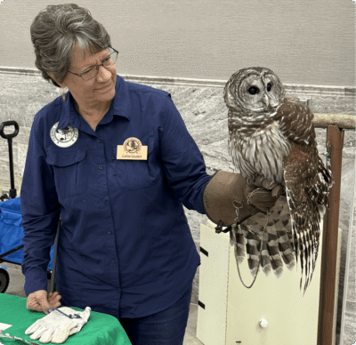 Gloved handler holding barred owl