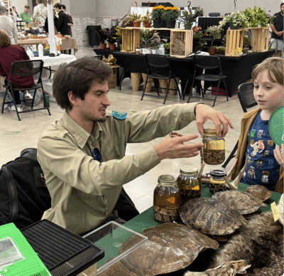 Man showing preserved snake jars to young boy